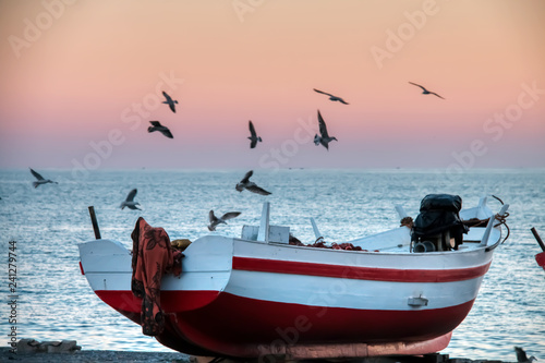 Tableau sur toile Seagulls flying over boats stranded on the beach with a dramatic background suns