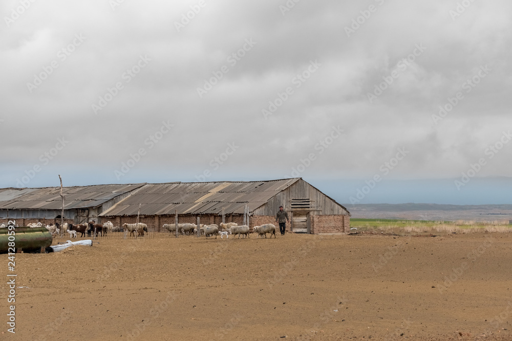 House in the desert