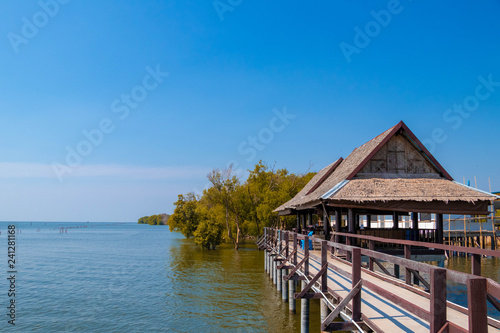 Mangrove, seashore, blue sky, gazebo © kanapot1976