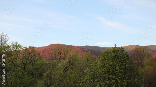 Fototapeta Naklejka Na Ścianę i Meble -  Bieszczady 2018