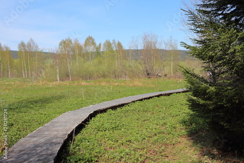Fototapeta Naklejka Na Ścianę i Meble -  Bieszczady 2018
