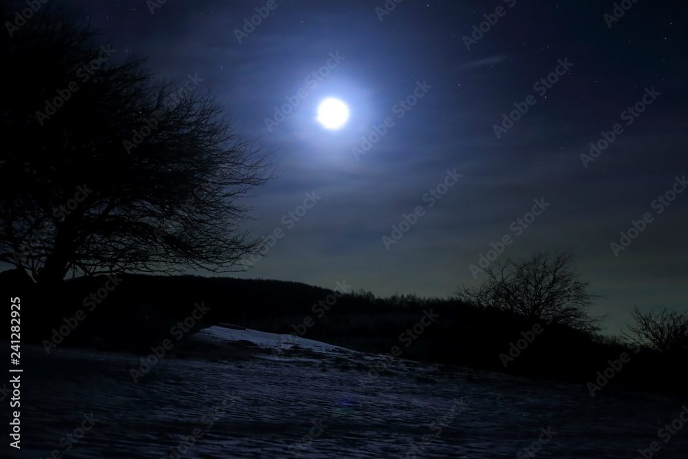 Naklejka premium 月と雪原