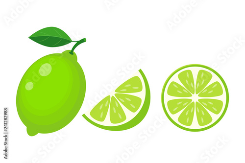 Colorful whole, half and slice lime with green leaf. Vector illu