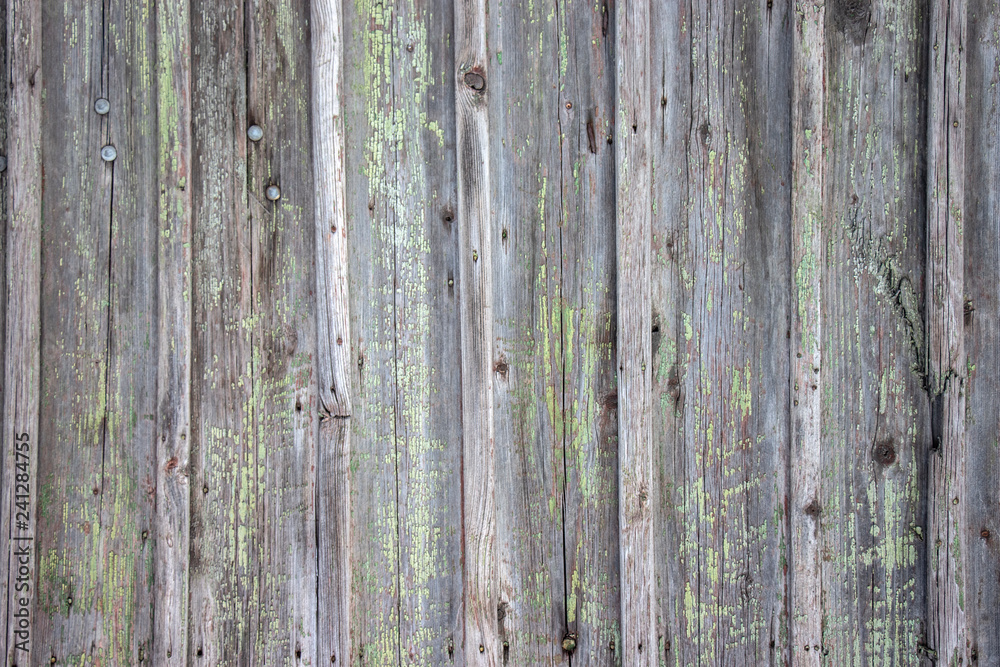 Obraz premium The old wooden walls painted green. Old wooden wall background or texture.