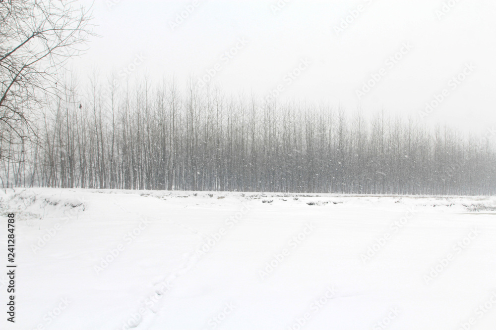 Obraz premium China's inland rivers and lakes in winter