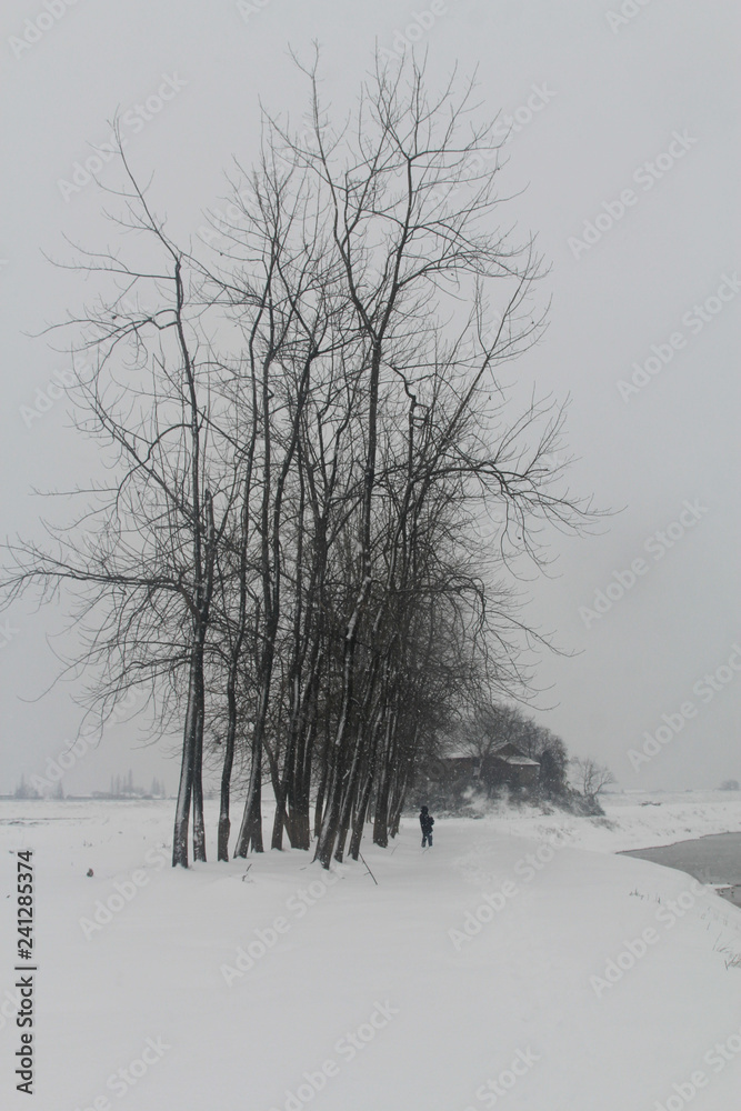 Fototapeta premium China's inland rivers and lakes in winter
