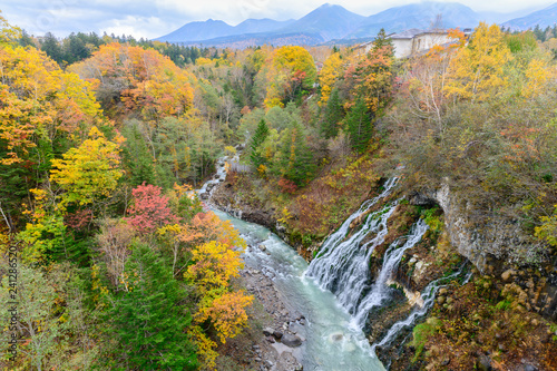 Shirahige Waterfall in autumn forest