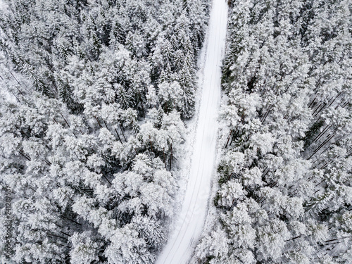 drone image. aerial view of forest area in winter with snowy trees © Martins Vanags