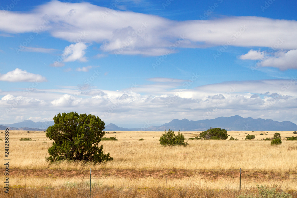 Fototapeta premium Panorami del New Mexico (USA)