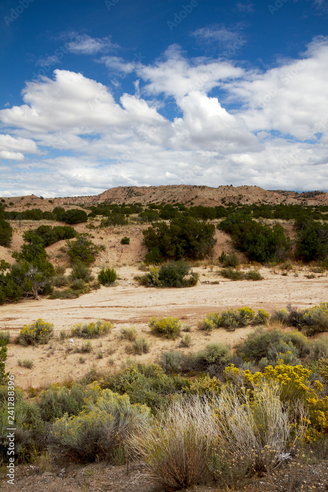 Panorami del New Mexico (USA)