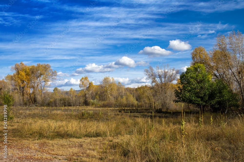 Fototapeta premium Panorami del Colorado (USA)