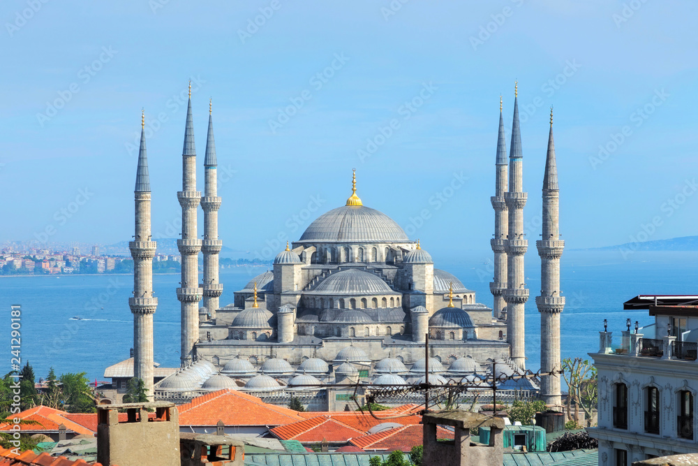 Fototapeta premium Blue Mosque in Istanbul, Turkey