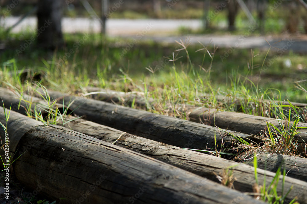 The surface of the wood is suitable as a backdrop for aesthetics. The surface of the wood is suitable as a backdrop for aesthetics.