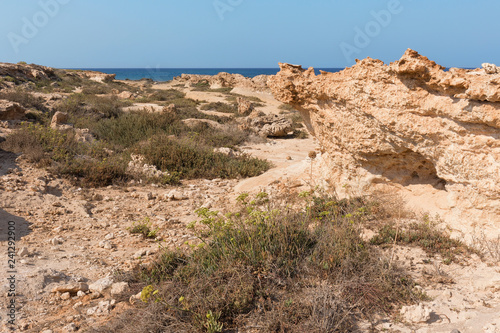 Stony Mediterranean coast in the vicinity of Protaras  Cyprus. Summer Sunny day of August.