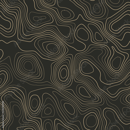 Topographic map background. Actual topography map. Seamless design. Flawless tileable isolines pattern, vector illustration.