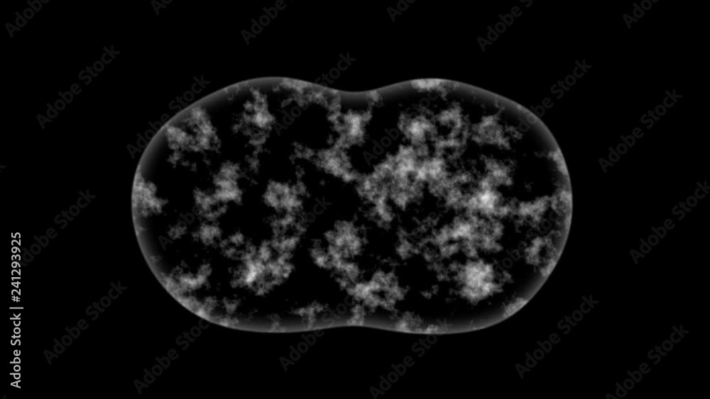 Alpha+RGB Cells Dividing in black & white.  Transparent 3D rendered Animation of the Mitosis and replication of a generic biological Cell.  Cellular division under the microscope , stem cell divide.