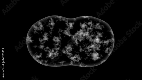 Alpha+RGB Cells Dividing in black & white.  Transparent 3D rendered Animation of the Mitosis and replication of a generic biological Cell.  Cellular division under the microscope , stem cell divide.