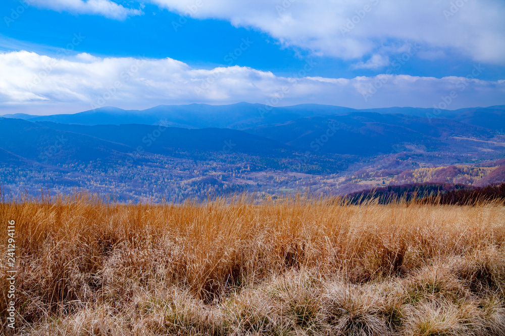 Naklejka premium Landscape of autumnal peaks of the Carpathians.