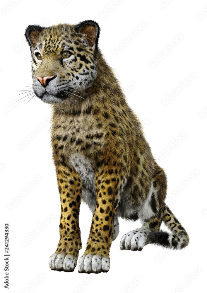 3D Rendering Big Cat Jaguar on White 3D Rendering Big Cat Jaguar on White