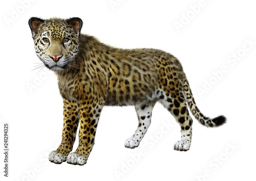 3D Rendering Big Cat Jaguar on White