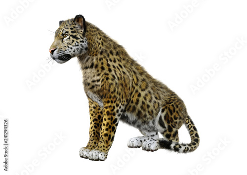 3D Rendering Big Cat Jaguar on White