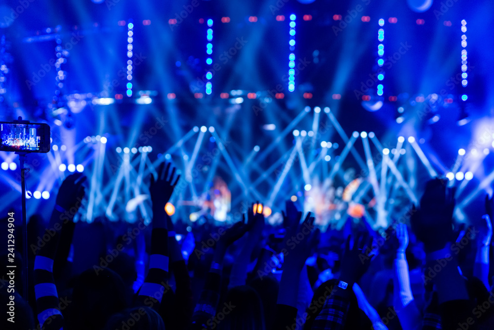 custom made wallpaper toronto digitalConcert crowd having fun at a rock concert.