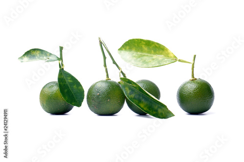 Calamondin or calamansi lime on a white background.