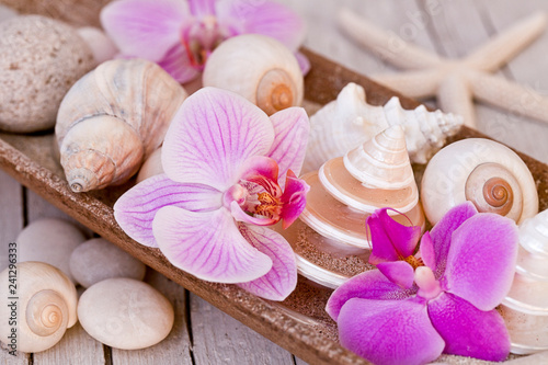 Pink Orchid flowers and beach treasures still life, pretty shells, starfish and mother of pearl arranged in a wooden bowl, a beautiful design for home decoration, stylish fashion or trendy accessory