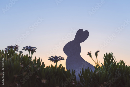 Creative easter photo of silhouette paper rabbit in the chamomile flowers and green grass on the sunset sky background. Concept