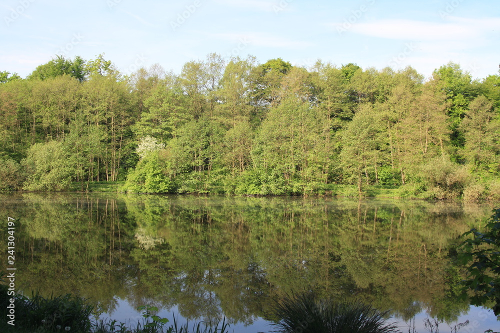 Wald am See Wald am See