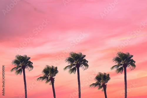 silhouette tropical palm tree with sun light on sunset sky. Copy space. Summer vacation and  travel concept.