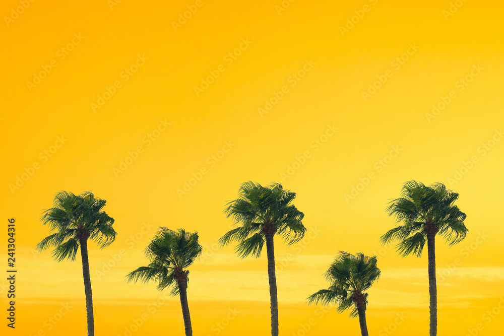 Fototapeta premium silhouette tropical palm tree with sun light on sunset sky. Copy space. Summer vacation and travel concept.