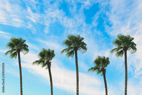 tropical palm tree with sun light on blue sky. Summer vacation and travel concept. Vintage tone filter effect color style.Copy space