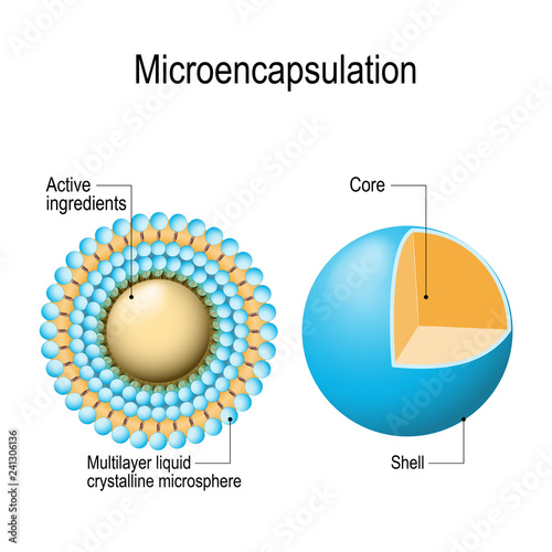 Microencapsulation mechanism