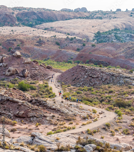 Trail through the rocky desert