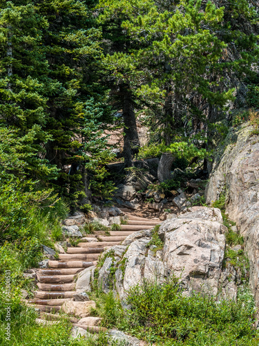 Trail in the woods