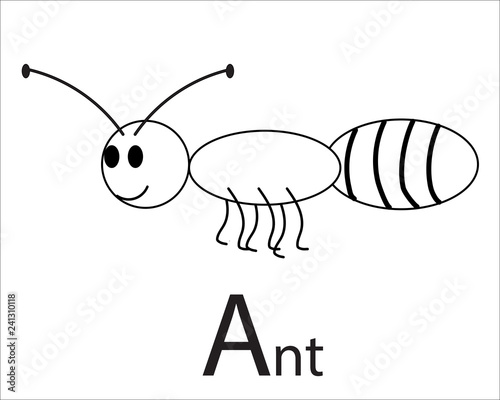 Animal-Ant Line Drawing