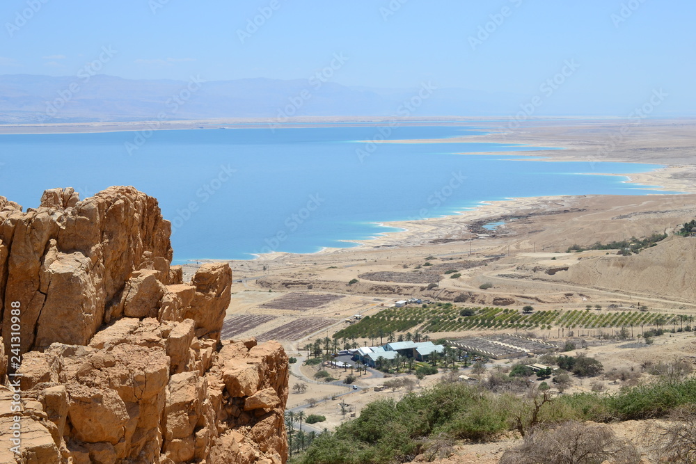 Ein Gedi, waterfall and oasis in Judean desert, view of Dead Sea, ISRAEL