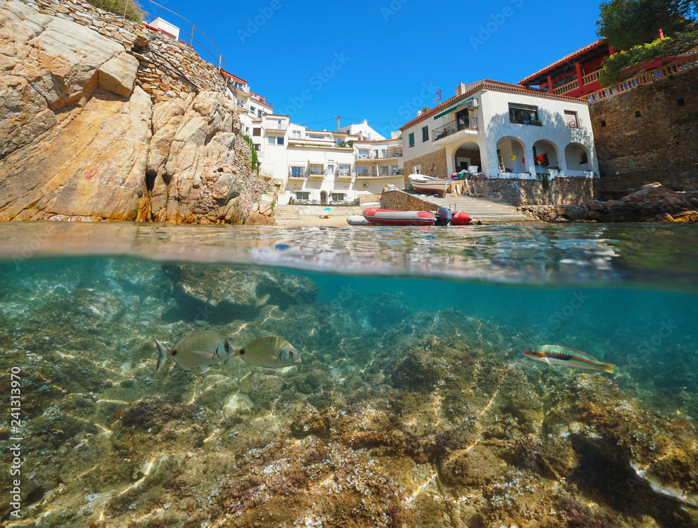 Spain Costa Brava houses and fish underwater