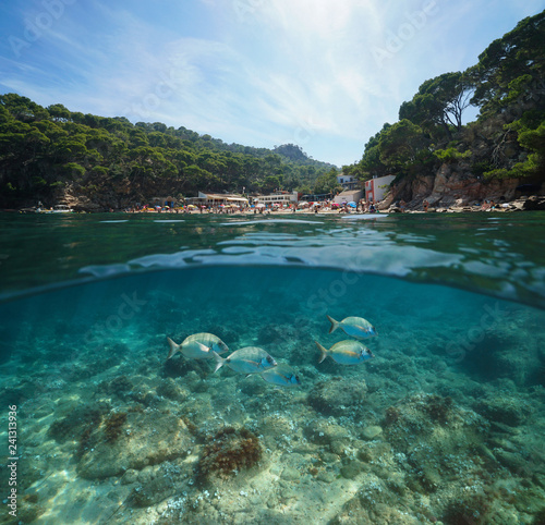 Spain Costa Brava beach with fish underwater sea