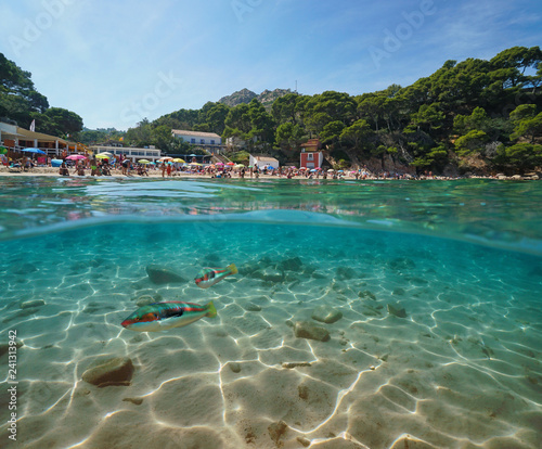 Spain Costa Brava beach with fish underwater