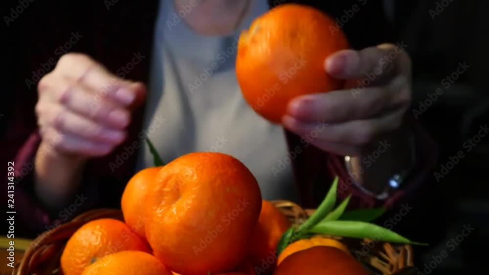 Peeling oranges, tangerines, preparing for eating. Closeup of oranges with woman 's hand.