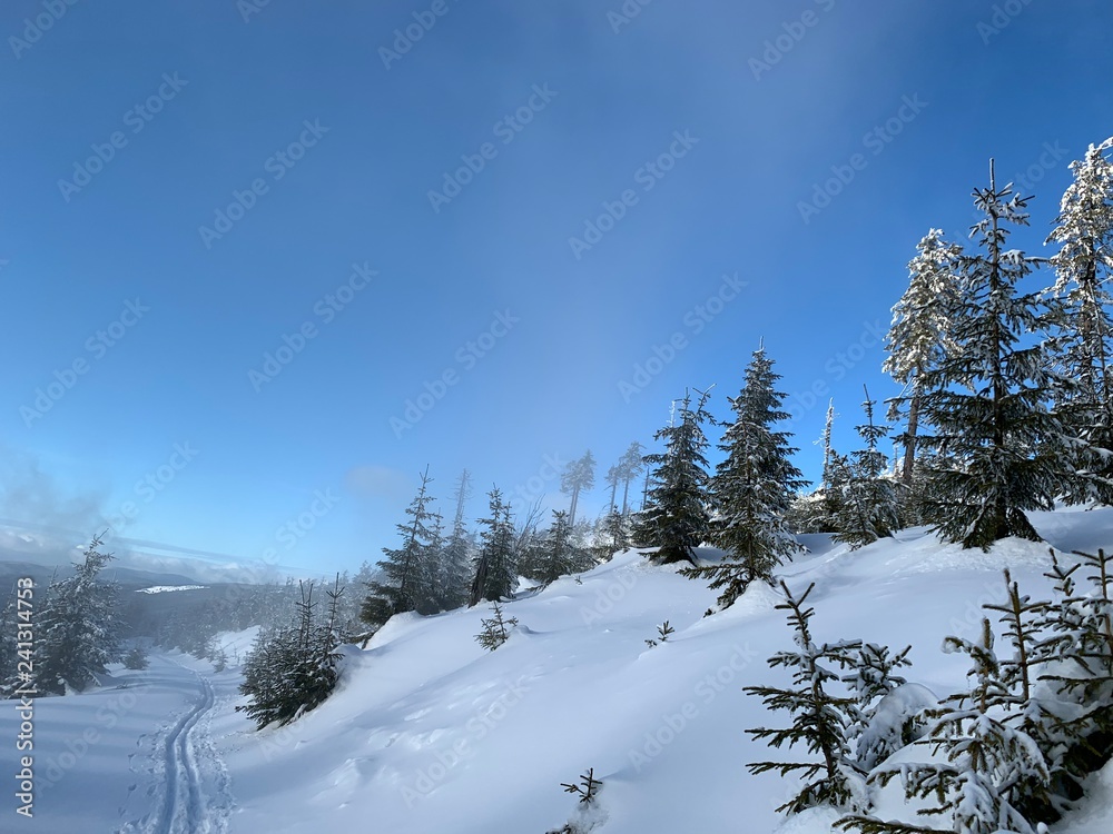 Naklejka premium winter landscape scenery with cross country skiing way
