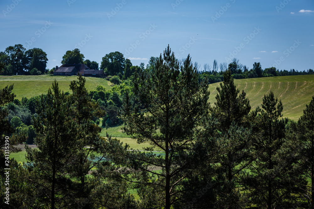 Obraz premium view of pine tops in the foreground, green farmer fields on the back and valley overgrown with bushes and trees in the middle