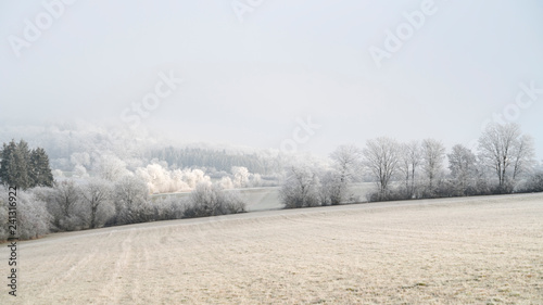 Winterlandschaft an einem kalten Wintermorgen im Dezember