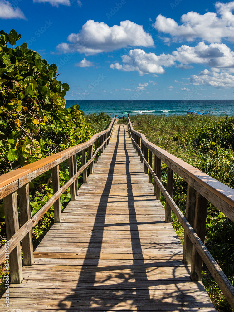 The wooden pathway over the dunes to the beach