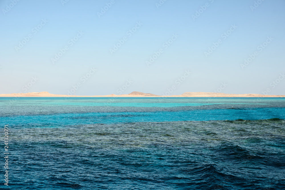 Obraz premium Coral reef in the Red sea near the shore of a sand island.