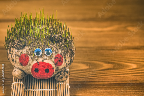 Ecological toy in the form of a pig with sprouted grass