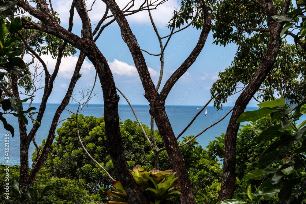 Ubatuba - Santa Rita Ubatuba - Santa Rita