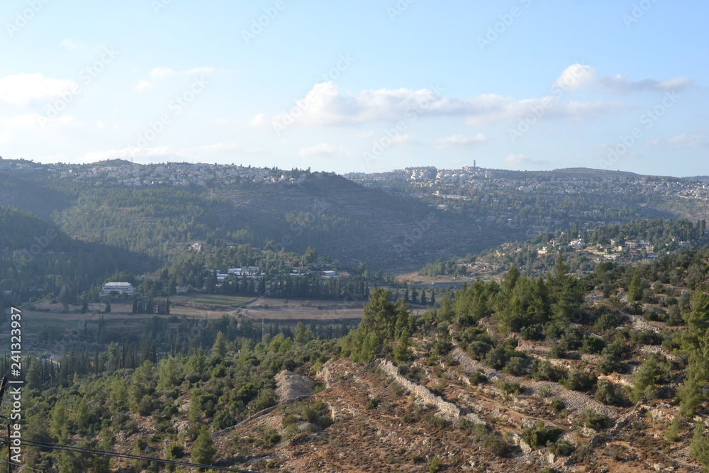 Jerusalem panorama of Ein Kerem landscape and forest, Israel